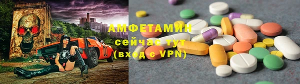 2c-b Ельня