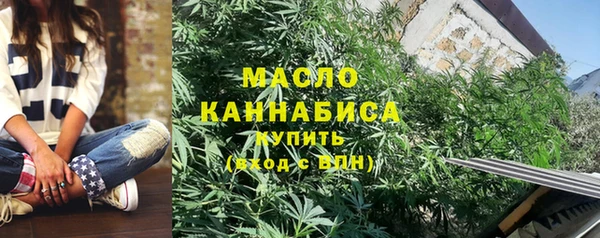 2c-b Ельня