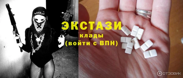 2c-b Ельня