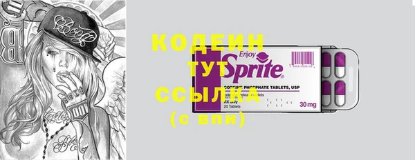 2c-b Ельня