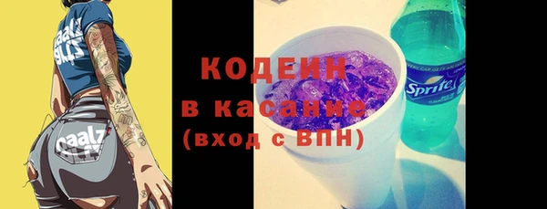 2c-b Ельня