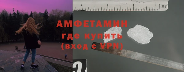 2c-b Ельня