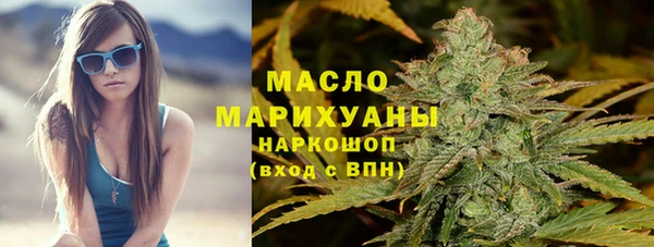 2c-b Ельня